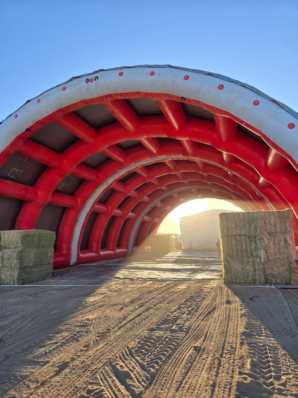 IMG-20251008-WA0004-min