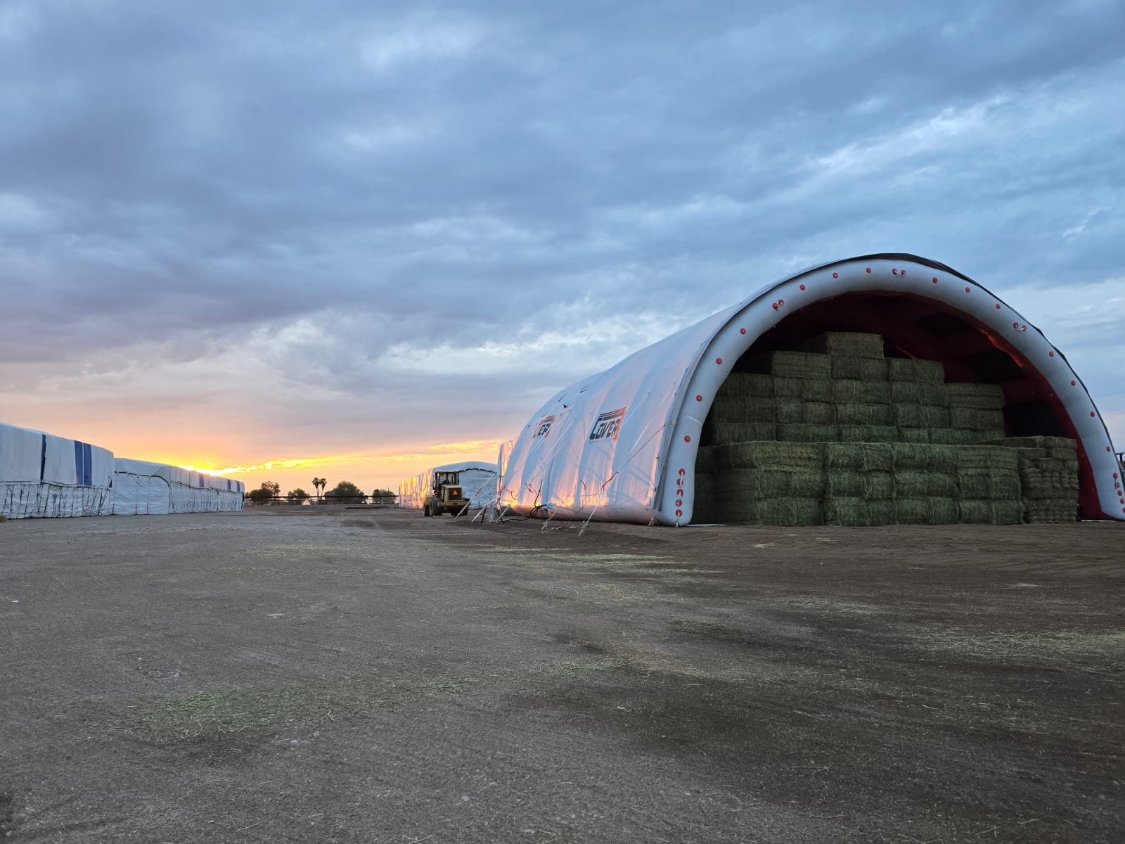 IMG-20251116-WA0007-min