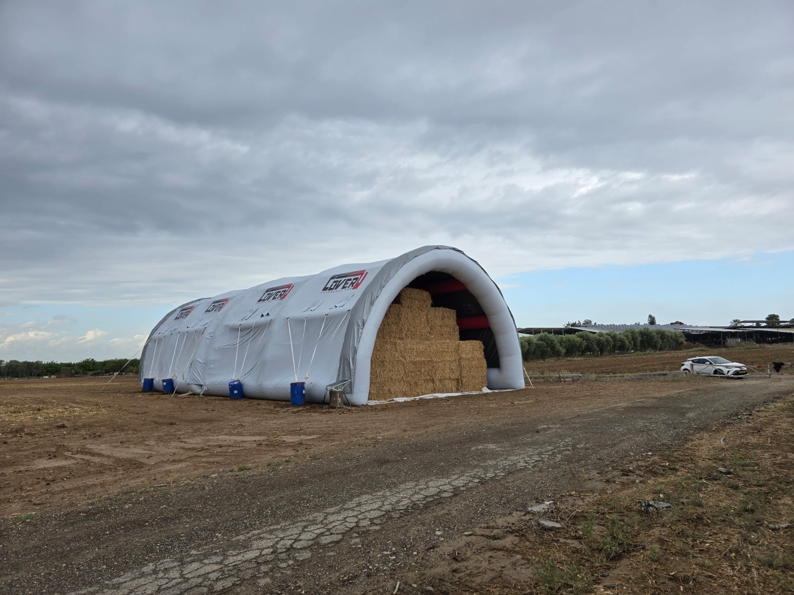 IMG-20251116-WA0010-min